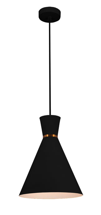 BONO HANGLAMP DE LUXE  MAT/ZWART   250       ART NR 23432031/